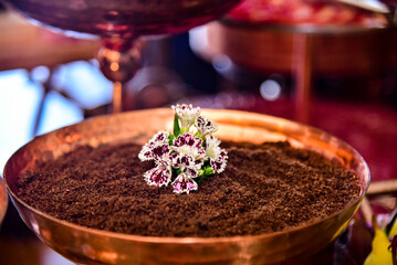 chocolate cake on the table in restaurant