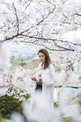 満開の桜とクールな女性