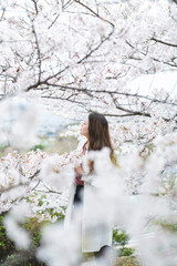 満開の桜とクールな女性
