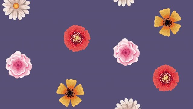 spring season flowers pattern animation