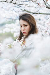 桜の花を見ながら散策する女性