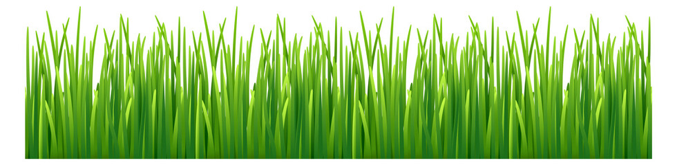 Fototapeta na wymiar Grass seamless border. Green lawn. Nature frame