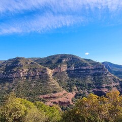 Naklejka premium grand canyon state