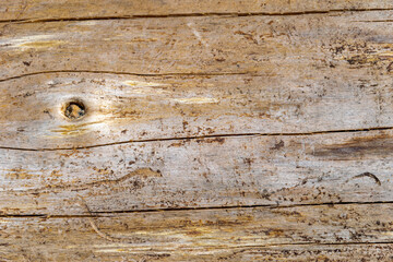 wood texture