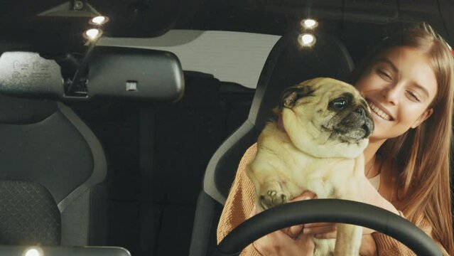 Happy woman with cute dog sitting in modern car. Close up of young woman with cute pug on hands choosing new car at dealership center