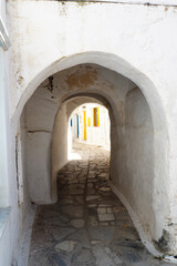 Fototapeta na wymiar One of the charms of the Cyclades (here, in Pyrgos on the island of Tinos), in the heart of the Aegean Sea, are the narrow streets: white houses, colorful doors, flowery balconies and cobbled streets