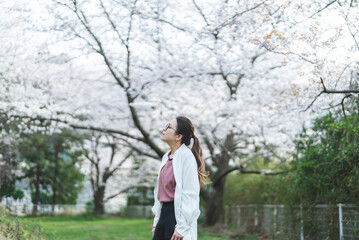 桜の花を見る眼鏡をかけた女性