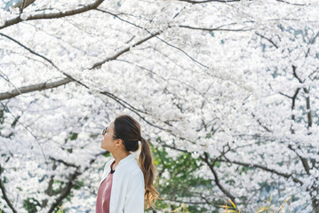 桜の花を見る眼鏡をかけた女性