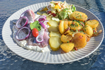 Matjes or soused herring in apple cream sauce with onions, fried potatoes, pickles and salad on a...