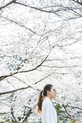 桜の花を見る眼鏡をかけた女性