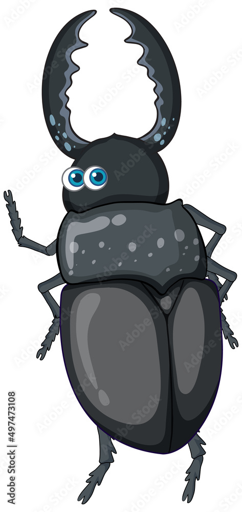 Poster a beetle cartoon character isolated