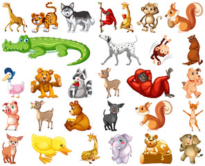 Obraz premium Set of animal cartoon character