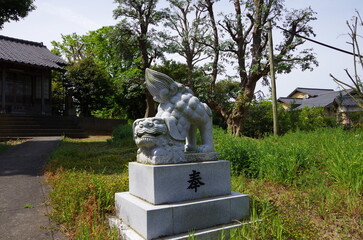 Obraz premium 狛犬