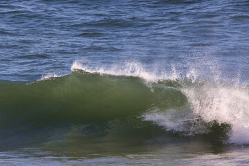 Surfing Rincon cove in California