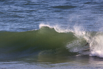 Surfing Rincon cove in California