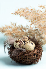 Easter vertical card with quail eggs in nest, feathers, dry grass panicles on light blue backdrop.