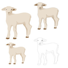 Little white cream lamb baby sheep flat farm animal kids