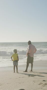 Vertical video of happy senior african american grandfather with grandson on sunny beach