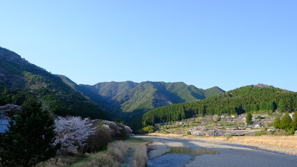 Fototapeta premium 春の景色