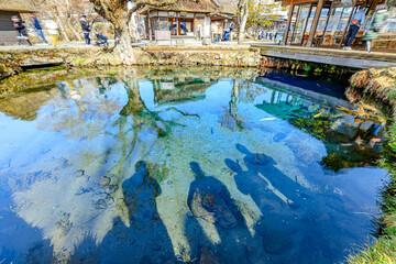 初春の忍野八海　湧池　山梨県忍野村　Oshino Hakkai in early spring. Wakuike pond. Yamanashi-ken Osino village.