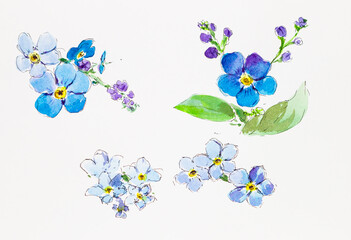 A set of forget-me-nots. Watercolor flowers. A set for designers of wedding and gift products. Watercolor. Spring composition, wedding bouquet. - 497482571