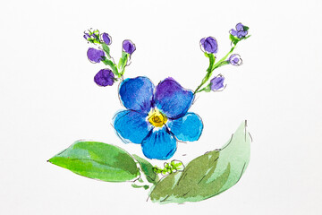 A set of forget-me-nots. Watercolor flowers. A set for designers of wedding and gift products. Watercolor. Spring composition, wedding bouquet. - 497482572
