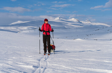 Female cross country skier with pulka (sled) in the snow in Lapland, Sweden.