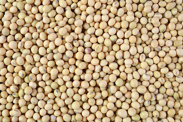 Top view of heap of dried soybeans for backdrop or banner