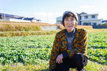 草抜きをする高齢の女性
