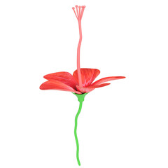 3D rendering isolated simulated Hibiscus flower in white background