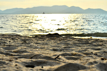 sandy beach of the sea