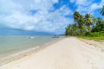 Landscape of Praia dos Carneiros beach, a famous beach of Tamandare, PE, Brazil. Beautiful beach, tourist destination of Pernambuco state.