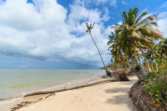 Landscape of Praia dos Carneiros beach, a famous beach of Tamandare, PE, Brazil. Beautiful beach, tourist destination of Pernambuco state.