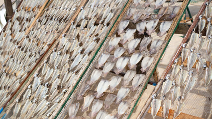 Portuguese traditional dried fish on a grid in a wooden frame. Nazare dried fish on sand beach