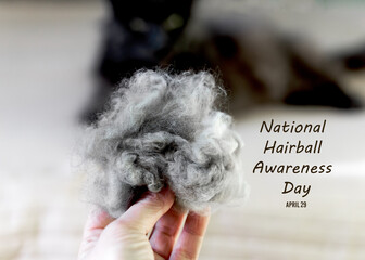 A ball of gray wool against the background of a lying Maine Coon cat. Concept for National Hairball...