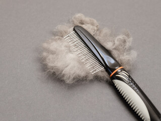 Grooming comb with metal teeth and a large ball of long hair on a gray background. Concept for...