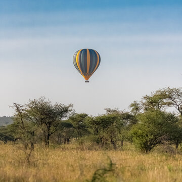 Air Balloon Above The Savannah In Serengeti National Park, Tanzania