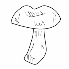 Doodle mushroom set. Cute bio line art collection. Black vector on white background.