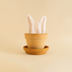 Fototapeta na wymiar Creative scene made with flower pot and toy bunny ears. Gentle beige background. Minimal Easter holiday concept. Surreal aesthetic.