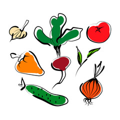 Collection of sketched vegetables. Hand drawn vector.