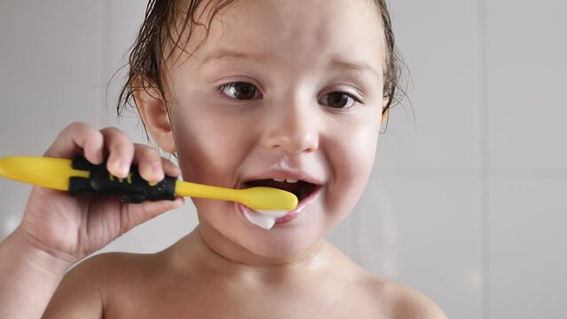 Dental hygiene. A happy little girl is brushing her teeth