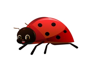 Ladybug red. Wildlife object. Little funny insect. Cute cartoon style. Isolated on white background. Vector