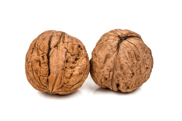 two ripe walnut on white