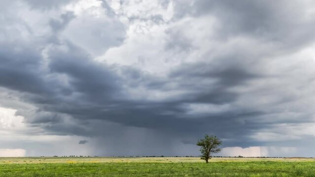  Rain clouds. An approaching strong thundercloud over a field with a lone tree. Timelpase