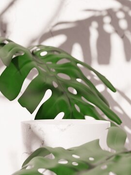 3d marble display podium with monstera against white wall. 3d rendering of realistic presentation for product advertising. 3d minimal illustration. selective focus.