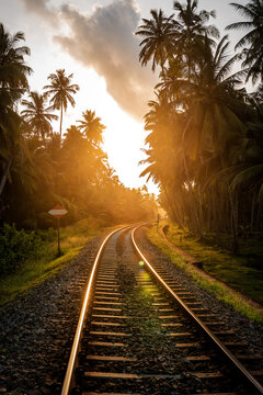 Train tracks in Sri Lanka. Tropical landscape.