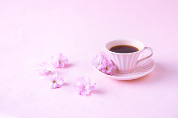 Obraz na płótnie Canvas 八重桜の花とピンクのコーヒーカップのコーヒー（ピンクバック）