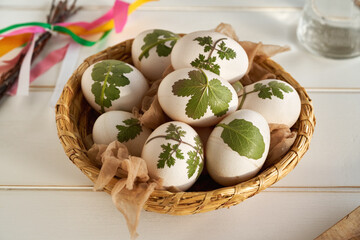 Easter eggs ready to be dyed with onion peels with a pattern of fresh plants