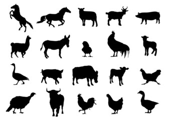 farm animals silhouettes collection