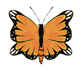 monarch butterfly icon